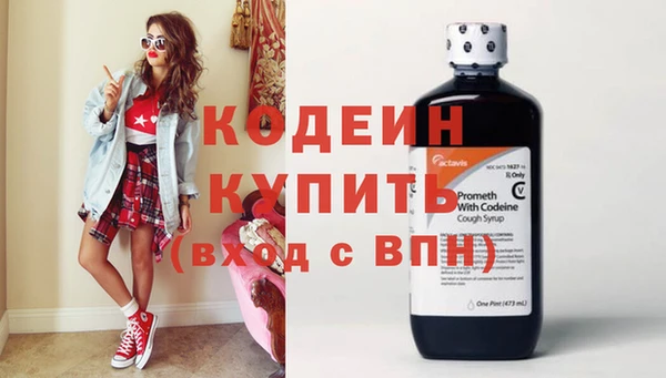 эйфоретик Гусь-Хрустальный