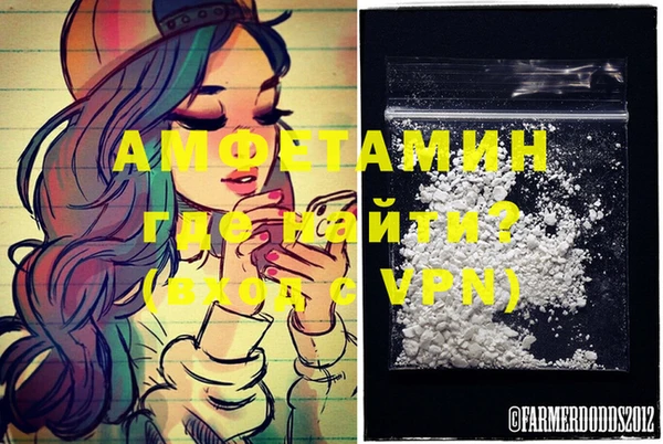 эйфоретик Гусь-Хрустальный