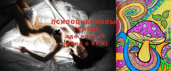 эйфоретик Гусь-Хрустальный