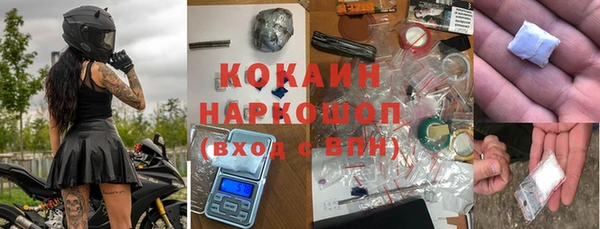 эйфоретик Гусь-Хрустальный