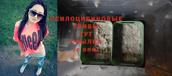 стаф Гусиноозёрск